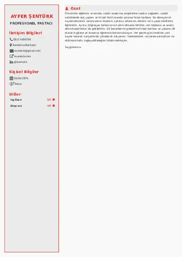 Pastacı Cv Örnekleri cv indir